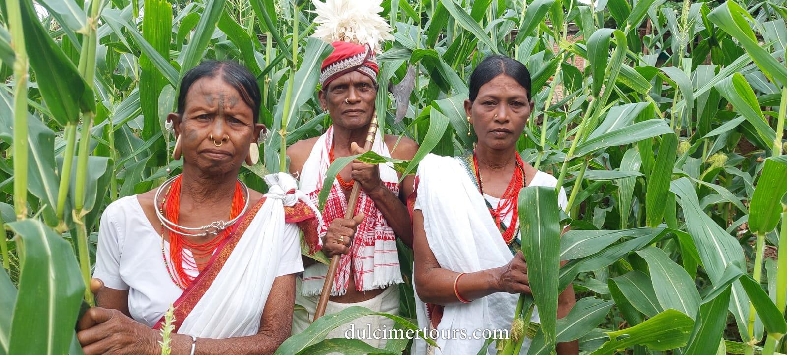 odisha tribal tour - lanjia soura