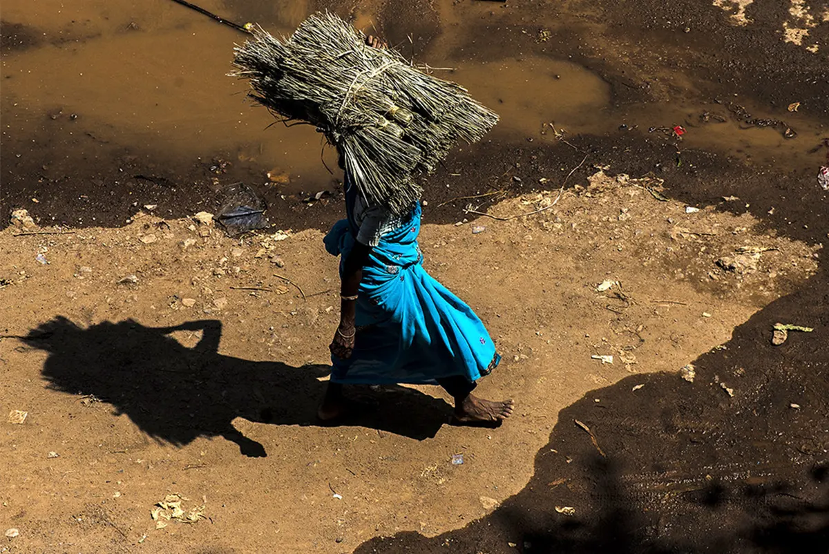 cheap & Best Tribal Tour Package in Chhattisgarh